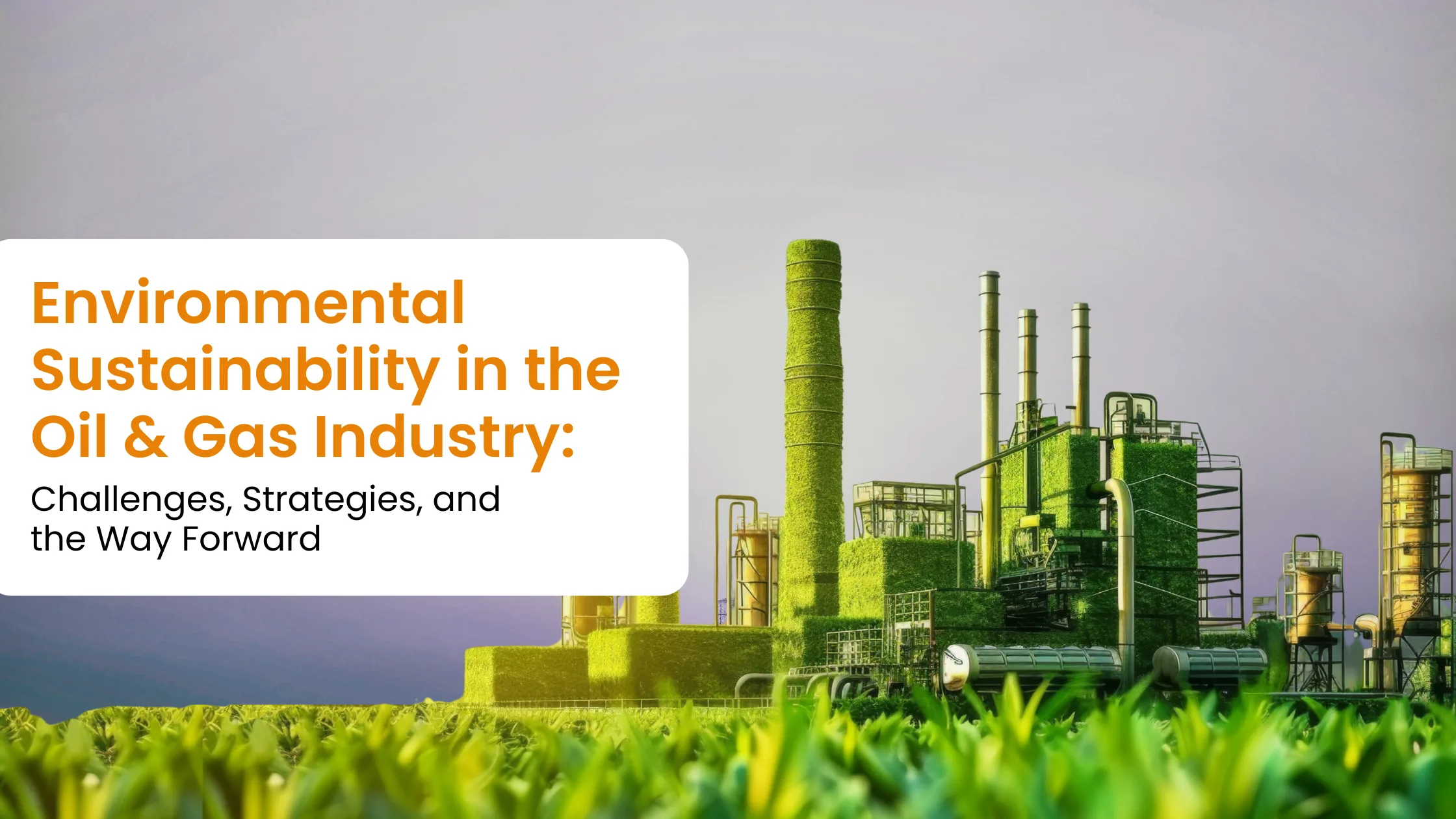Environmental Sustainability in the Oil & Gas Industry
