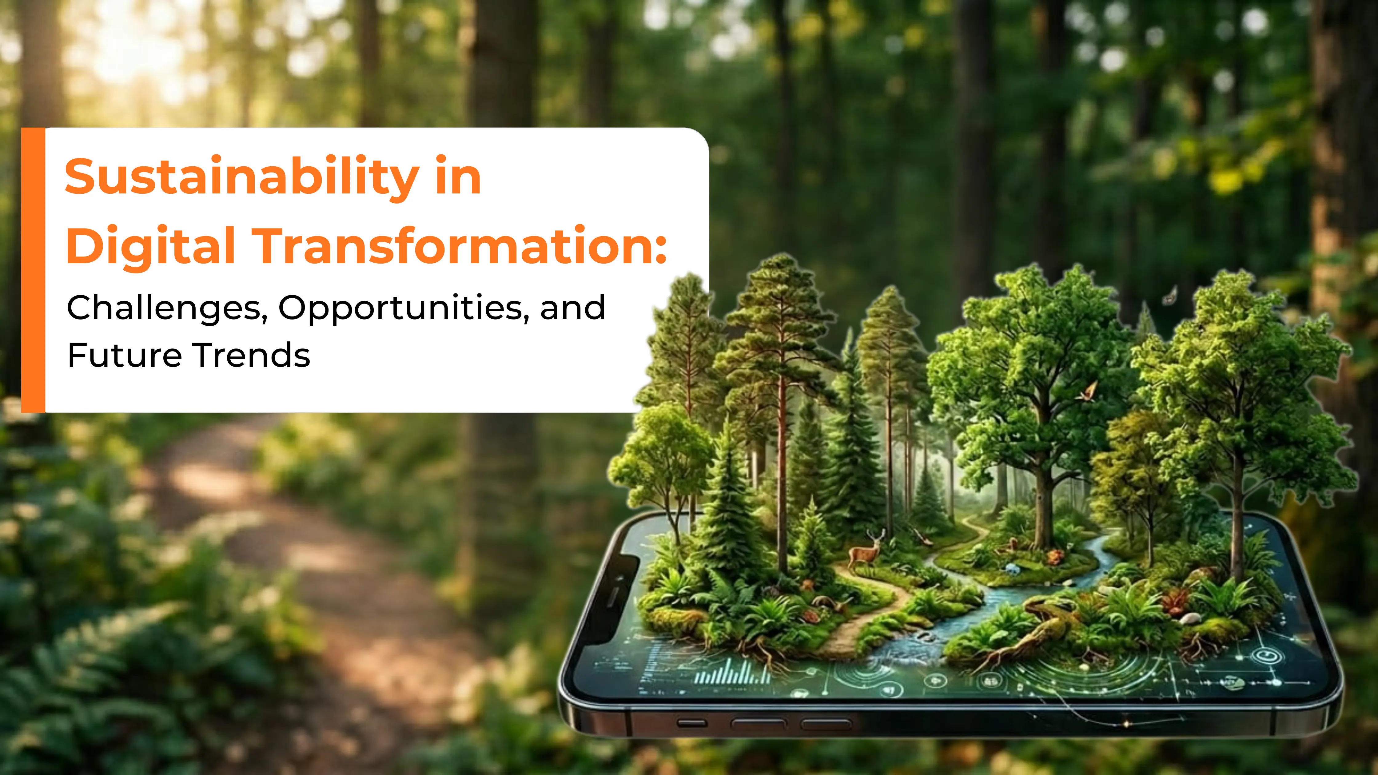 Sustainability in Digital Transformation